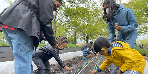 Open Farm Days at Battery Urban Farm: June and July (Multiple Dates)
