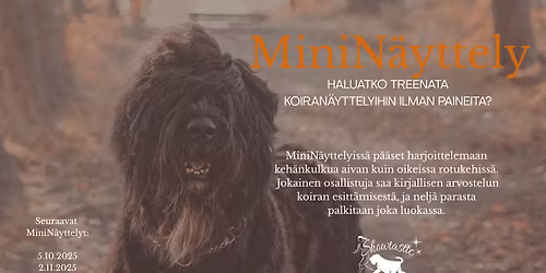 MiniN\u00e4yttely Tuusula 2.11.2025