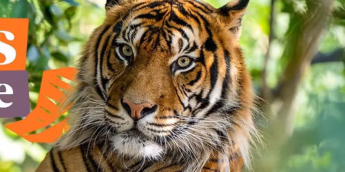 Dads go free to Adelaide Zoo this Father's Day