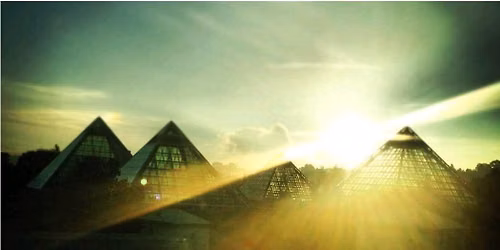 Muttart Conservatory guided program