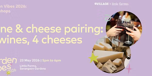 Wine & Cheese Pairing: Four Wines, Four Cheeses