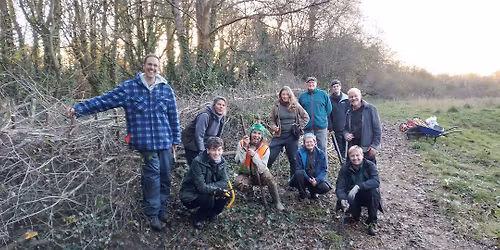 Sunday volunteer Hedgelaying training session