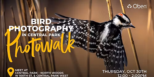 Bird Photography in Central Park: Pro Tips | Sponsored by Oben