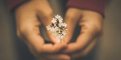 Megtart\u00f3 K\u00f6r 