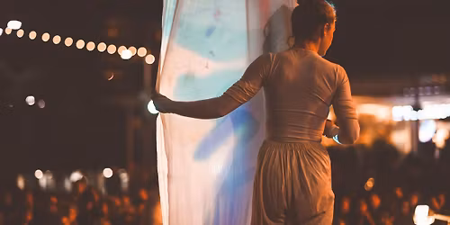 Dream Garden | TSB Festival of Lights | Special Event