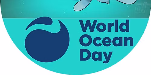 Annual World Ocean Day Beach Cleanup