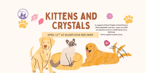 Crystals & Kittens \u2013 A Purr-fect Day at Silver Cove!