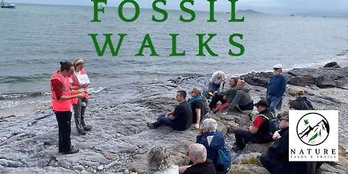 Fossil Walks, Dublin Coastline, 1 August
