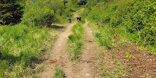 National Trails Day - Panorama Trail