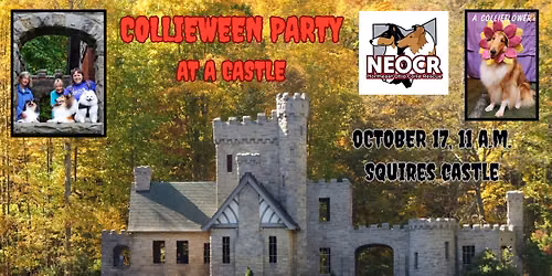 Collieween Party