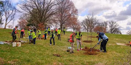 Community Tree Planting: Shrine of St. Jude