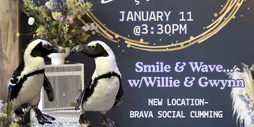 Penguin Yoga @ Brava Social