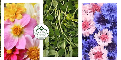 Free Urban Farm Open Day