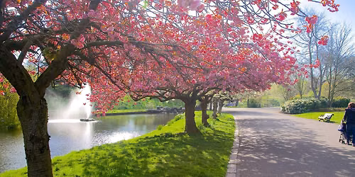 Merseyside  Autistic Adults Walk in Sefton Park