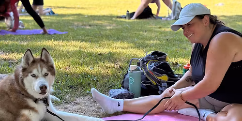 Dog-Friendly Day Retreat: Unleash Your Summer