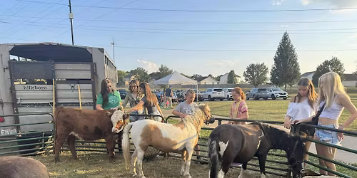 Movies in the Park - To Be Announced