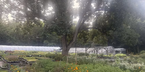 FREE Walk & Talk with Farm Manager, Alex