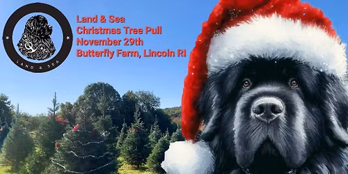 RI Christmas Tree Pull 