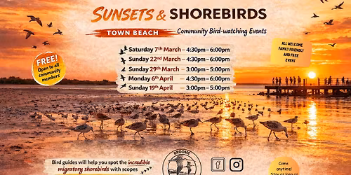Sunsets and Shorebirds - Free Community Bird-watching at Town Beach