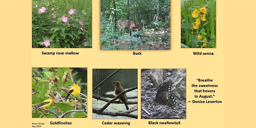 Van Cortlandt Nature Group Walk