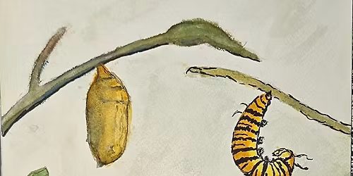 Branwen Drew ART Pop-Up Shop