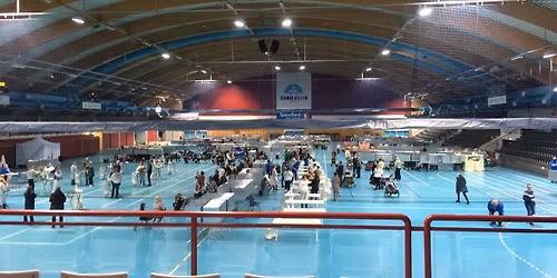 Adelkattens juleshow 2025