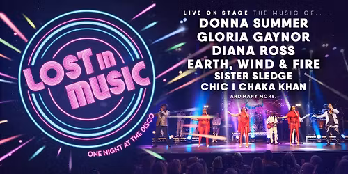 Lost in Music: One Night at the Disco