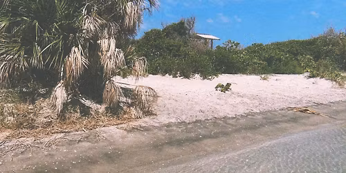 Commerce Antique & Artisan Festival