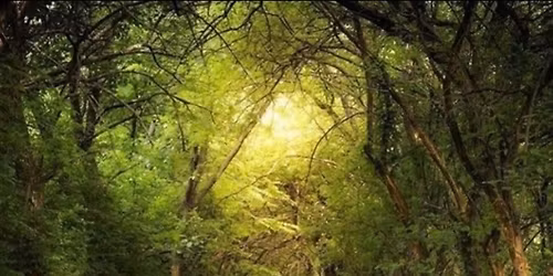 BOMA meeting, Franklin TN