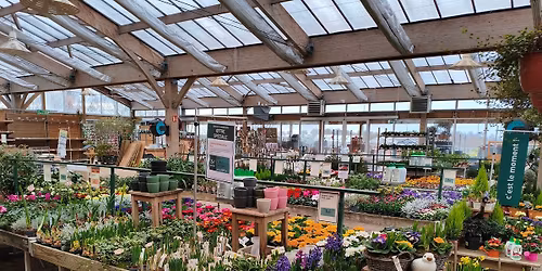 Foire aux plantes XXL