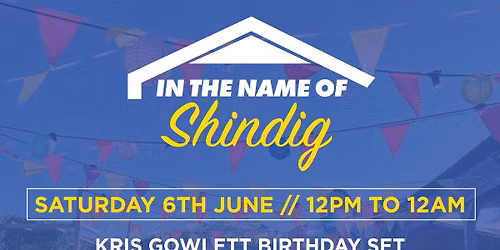 In The Name Of Shindig