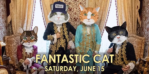 Fantastic Cat