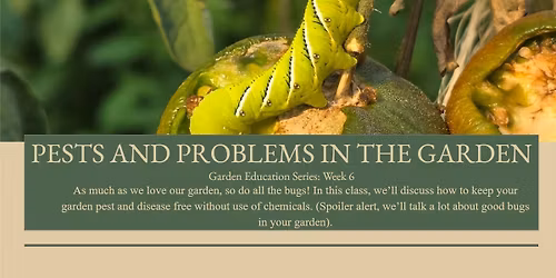 Pests and Problems in The Garden: Garden Education Series