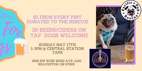 PInts for Pugs\/Adoption Event