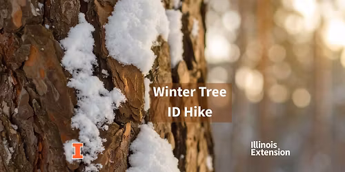 Winter Tree ID Hike