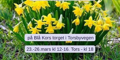 P\u00e5skemarked p\u00e5 Bl\u00e5 Kors torget