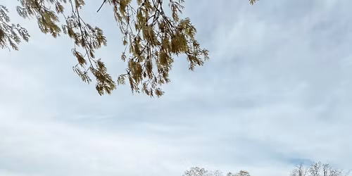 Introduction to Ranch Roping