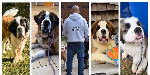 Saints & Self-Defense