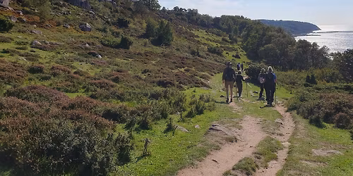 Vandre\/yogaophold p\u00e5 Bornholm