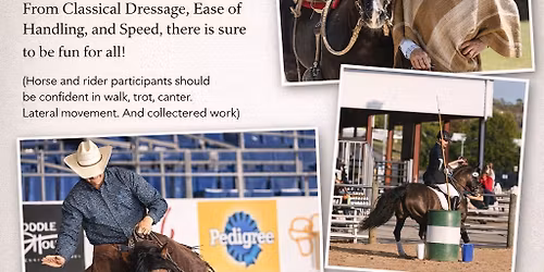 Intro to working Equitation with Marcelo Guzman