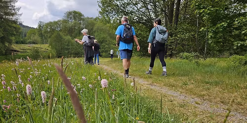 Wandersommer 2026 - Rundweg von K\u00f6\u00dfing zur Pfreimd