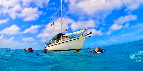 Blackbeards Bahamas \ud83c\udde7\ud83c\uddf8 Diving! 
