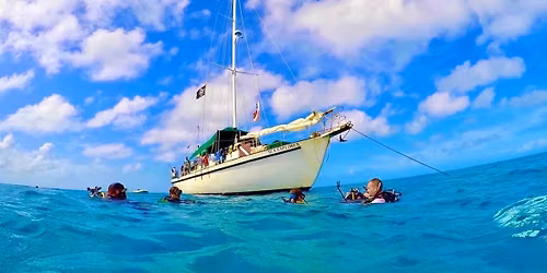 Blackbeards Bahamas \ud83c\udde7\ud83c\uddf8 Diving! 