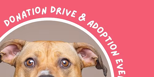 Pittie Posse Donation Drive & Adoption Event