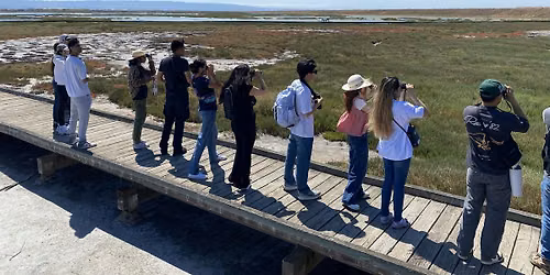 Benefits of Birding Walk