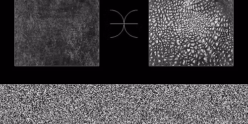 Dark Wood: A workshop with Mikolaj Stojanowitz