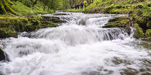 Meditativ Wanderung "Be like Water"