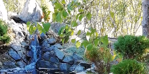 \u00d6ppet hus den 27 juni 2026