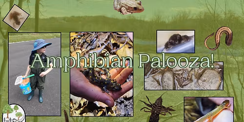 Amphibian Palooza 2026