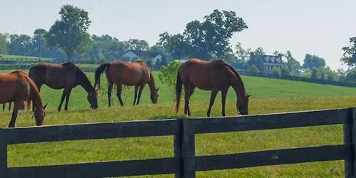 2025 KSHRM Annual Conference